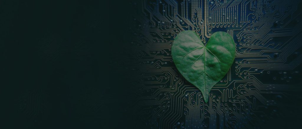 Image illustrating nature and tech in balance